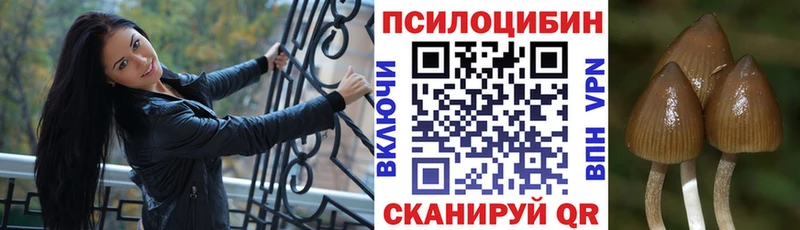 Галлюциногенные грибы Psilocybine cubensis  ОМГ ОМГ зеркало  Задонск 